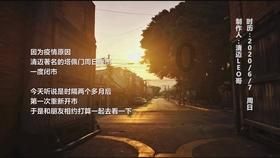 小猫钓鱼游戏龙王版有船