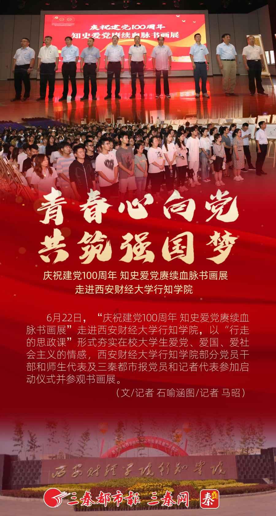 雨后盛放